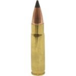 Dogtown Ammunition 300 AAC Blackout 110 Grain Polymer Tip Flat Base