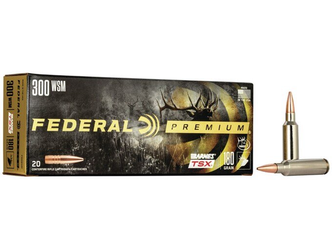 163905.jpg Federal Premium Ammunition 300 Winchester Short Magnum (WSM) 180 Grain Barnes TSX Box of 20 - Image 1