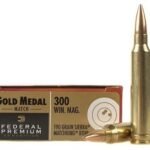 Federal Premium Gold Medal Ammunition 300 Winchester Magnum 190 Grain Sierra MatchKing Hollow Point Boat Tail
