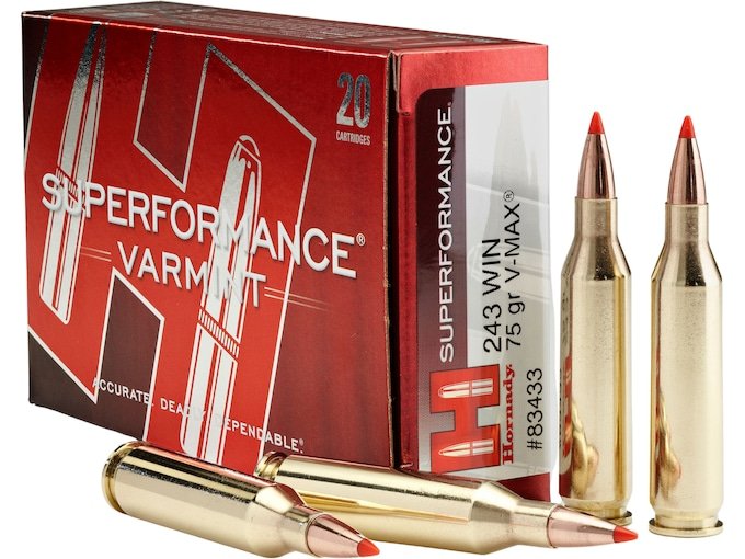 417060.jpg Hornady Superformance Varmint Ammunition 243 Winchester 75 Grain V-MAX Polymer Tip Box of 20 - Image 1