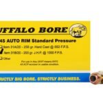 Buffalo Bore Ammunition 45 Auto Rim (Not ACP) 200 Grain Jacketed Hollow Point Box of 20