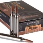 Sig Sauer Elite Performance Hunting HT Ammunition 300 Winchester Magnum 165 Grain Solid Copper Lead-Free Expanding Box of 20