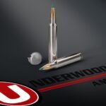 Underwood Ammunition 300 Winchester Magnum 180 Grain Sierra GameChanger Polymer Tip Box of 20