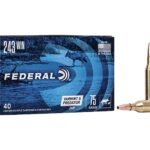 Federal American Eagle Varmint and Predator Ammunition 243 Winchester 75 Grain Hollow Point