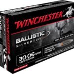 Winchester Ballistic Silvertip Ammunition 30-06 Springfield 180 Grain Rapid Controlled Expansion Polymer Tip Box of 20