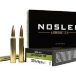 Nosler E-Tip Ammunition 300 Winchester Magnum 180 Grain Polymer Tip Lead-Free Box of 20