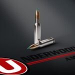 Underwood Ammunition 308 Winchester 180 Grain Sierra GameChanger Polymer Tip Box of 20